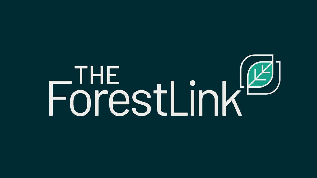 The ForestLink: Branding for start ups